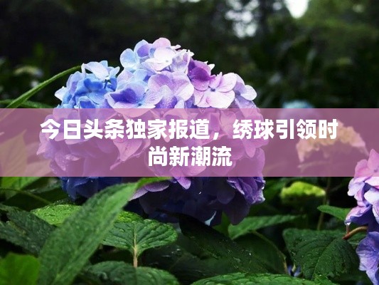 今日头条独家报道,绣球引领时尚新潮流