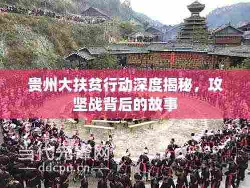 贵州大扶贫行动深度揭秘,攻坚战背后的故事