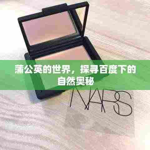 蒲公英的世界,探寻百度下的自然奥秘