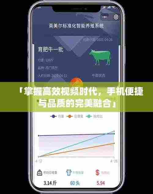 坌鸟先飞 第3页