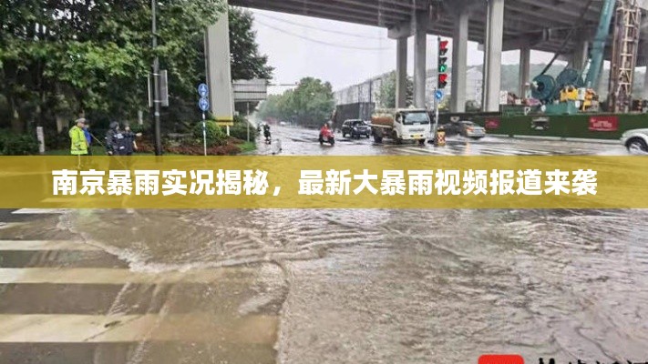 空谷幽兰 第3页