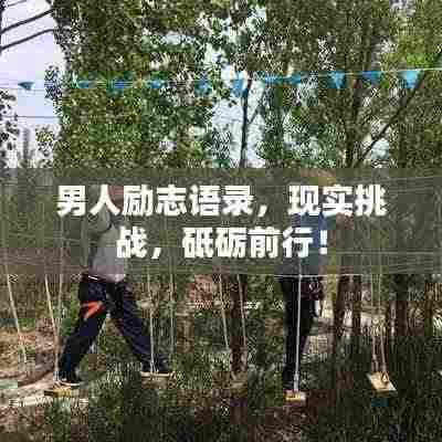 神采飞扬 第3页