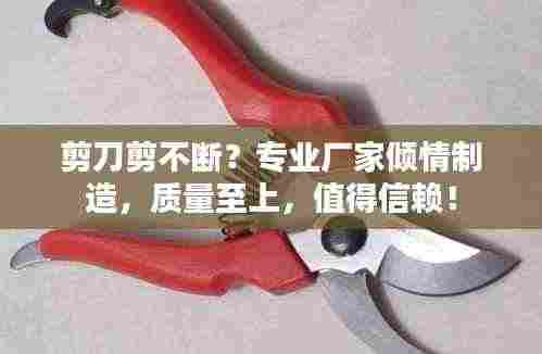 剪刀剪不断？专业厂家倾情制造，质量至上，值得信赖！