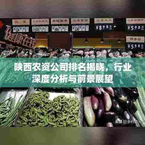 陕西农资公司排名揭晓，行业深度分析与前景展望