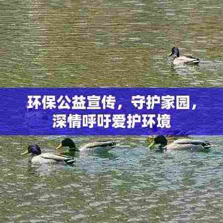 环保公益宣传,守护家园,深情呼吁爱护环境