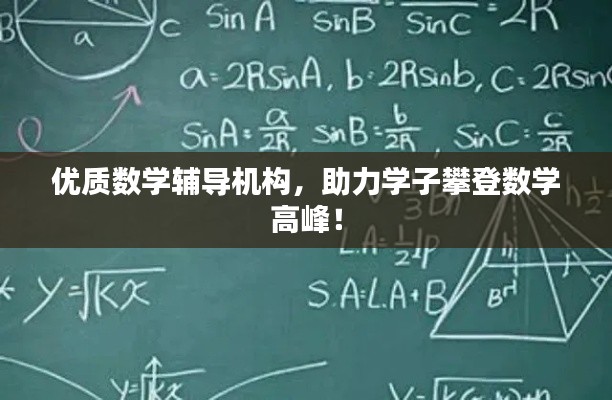 优质数学辅导机构,助力学子攀登数学高峰!