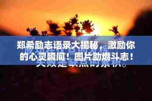 眼空四海 第2页