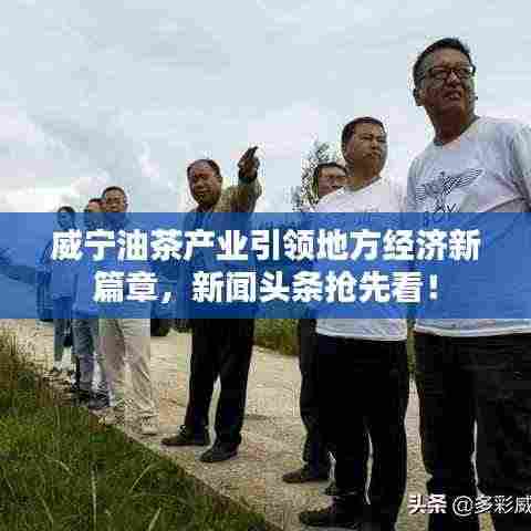 威宁油茶产业引领地方经济新篇章,新闻头条抢先看!