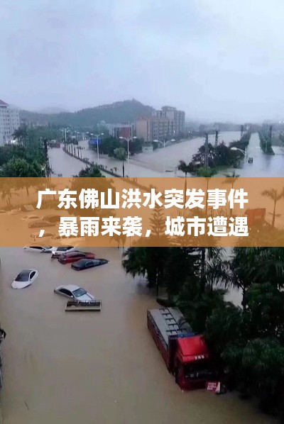 广东佛山洪水突发事件，暴雨来袭，城市遭遇水患挑战