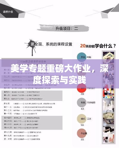 美学专题重磅大作业，深度探索与实践
