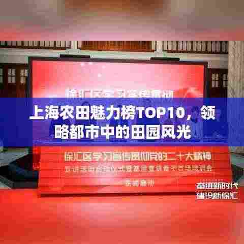 上海农田魅力榜TOP10，领略都市中的田园风光