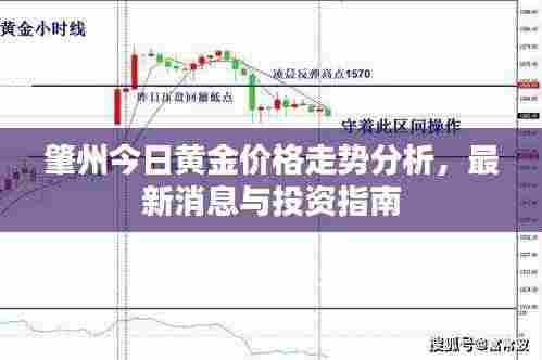 肇州今日黄金价格走势分析,最新消息与投资指南