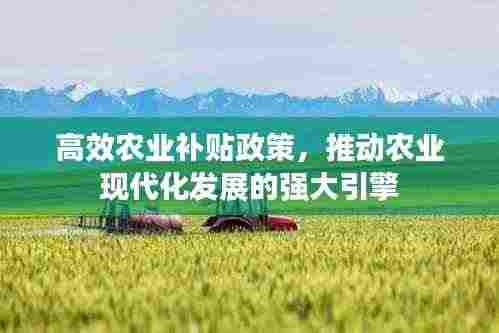 高效农业补贴政策,推动农业现代化发展的强大引擎