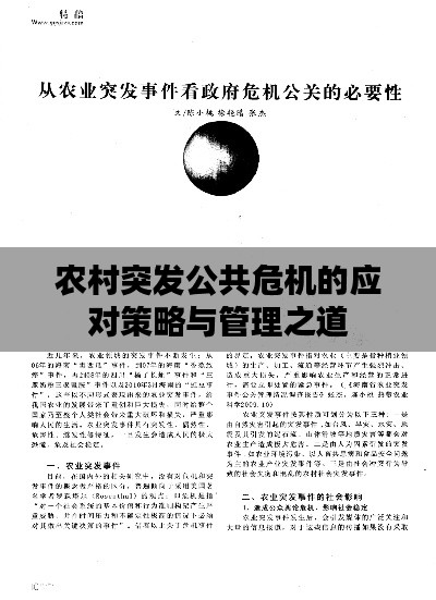 农村突发公共危机的应对策略与管理之道