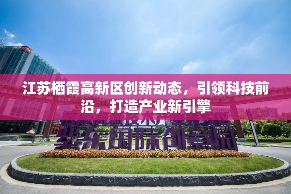 江苏栖霞高新区创新动态,引领科技前沿,打造产业新引擎