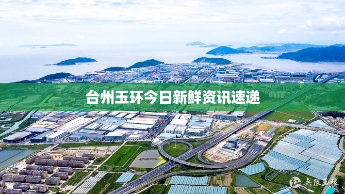 台州玉环今日新鲜资讯速递