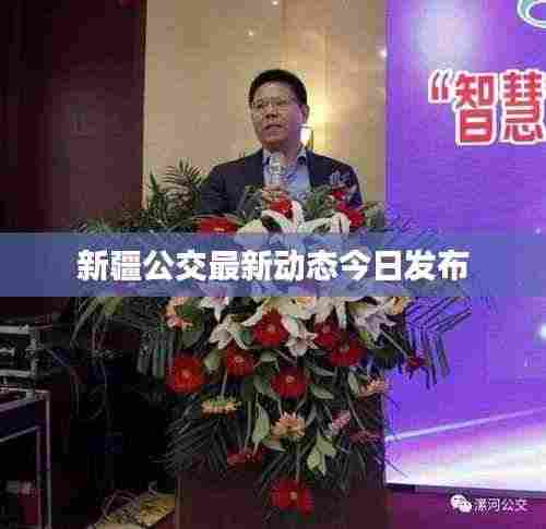 新疆公交最新动态今日发布