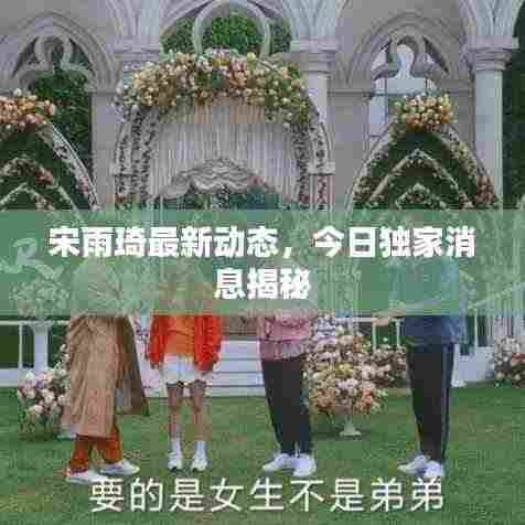 宋雨琦最新动态,今日独家消息揭秘