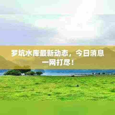 罗坑水库最新动态,今日消息一网打尽!