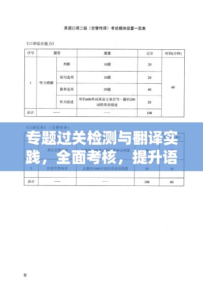 专题过关检测与翻译实践,全面考核,提升语言应用能力