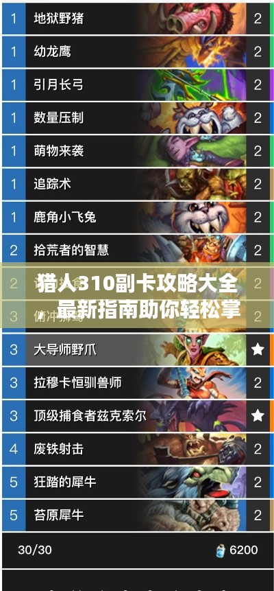 猎人310副卡攻略大全,最新指南助你轻松掌握!