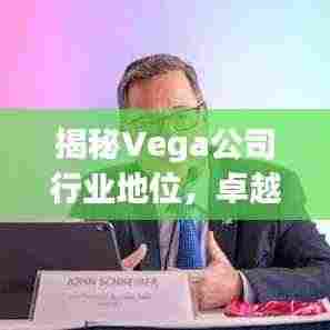 揭秘Vega公司行业地位,卓越排名不容小觑