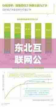 东北互联网公司排名揭秘，行业洞察一网打尽