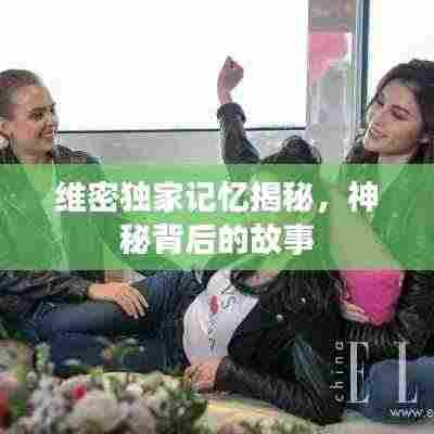 维密独家记忆揭秘,神秘背后的故事