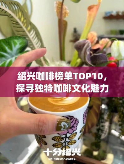 绍兴咖啡榜单TOP10，探寻独特咖啡文化魅力