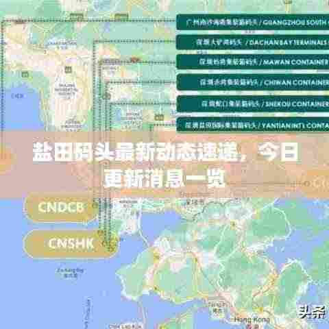 盐田码头最新动态速递，今日更新消息一览