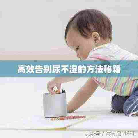 高效告别尿不湿的方法秘籍