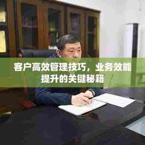 客户高效管理技巧,业务效能提升的关键秘籍