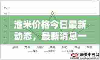 淮米价格今日最新动态,最新消息一览表