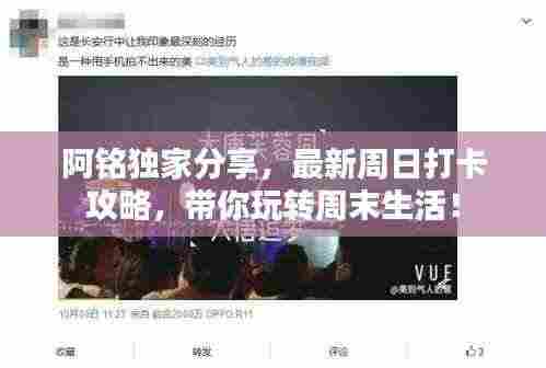 阿铭独家分享，最新周日打卡攻略，带你玩转周末生活！