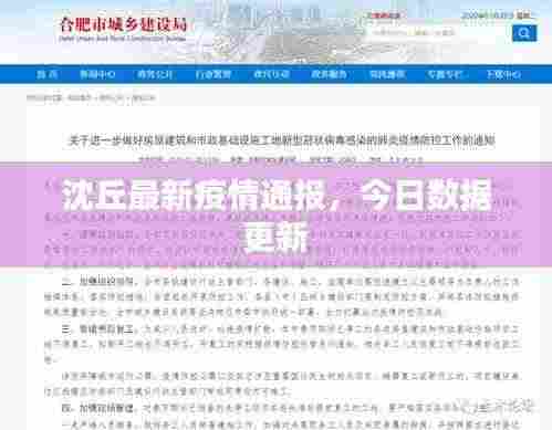 沈丘最新疫情通报,今日数据更新
