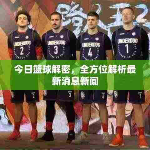 今日篮球解密，全方位解析最新消息新闻