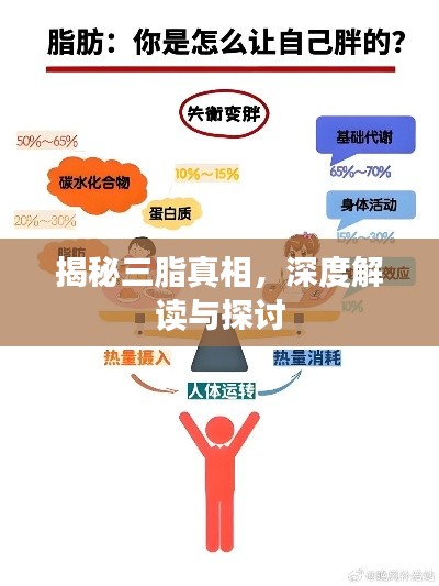 懵懵懂懂 第3页