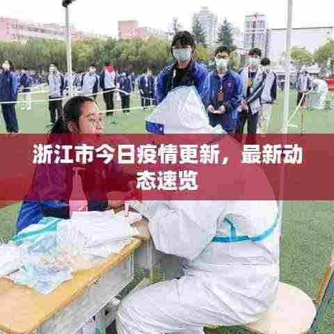 浙江市今日疫情更新,最新动态速览