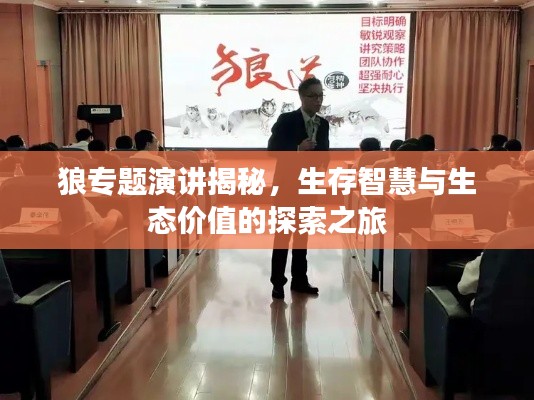 狼专题演讲揭秘,生存智慧与生态价值的探索之旅