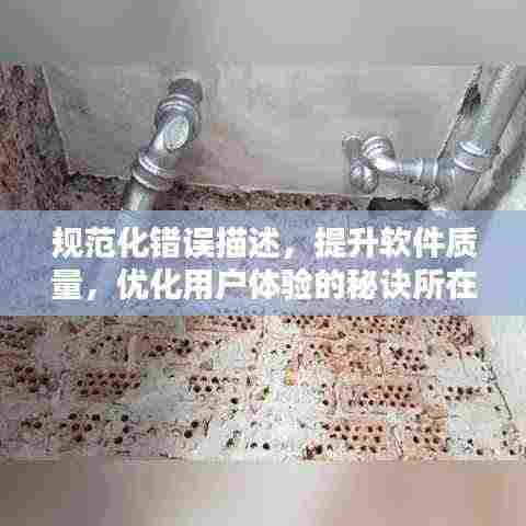 规范化错误描述，提升软件质量，优化用户体验的秘诀所在