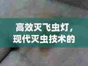 高效灭飞虫灯,现代灭虫技术的领军之选