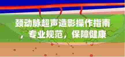 颈动脉超声造影操作指南,专业规范,保障健康