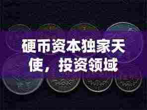 硬币资本独家天使,投资领域的独特魅力与力量