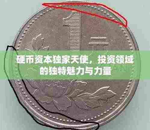 硬币资本独家天使,投资领域的独特魅力与力量