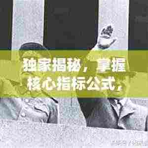 独家揭秘,掌握核心指标公式,洞悉奥秘秘籍大全