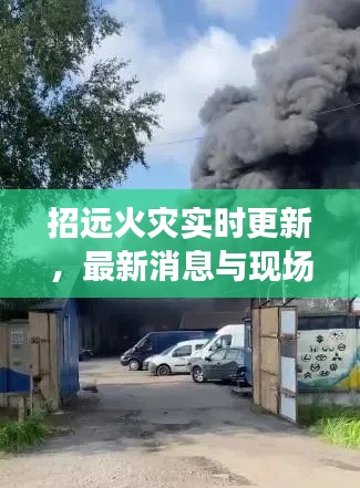 招远火灾实时更新,最新消息与现场情况