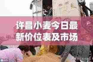 许昌小麦今日最新价位表及市场动态分析