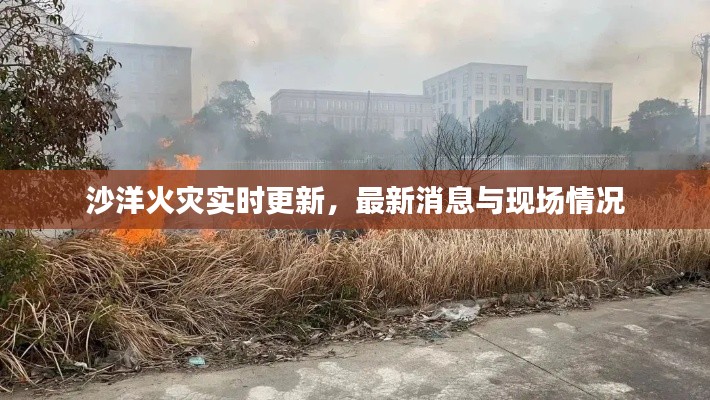 沙洋火灾实时更新,最新消息与现场情况