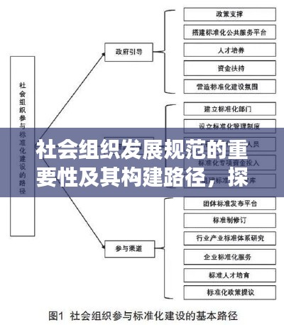 社会组织发展规范的重要性及其构建路径,探究规范发展的必要性及实践策略