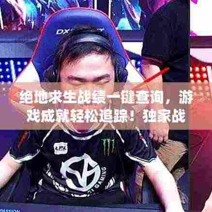 绝地求生战绩一键查询,游戏成就轻松追踪!独家战绩查询系统开启!